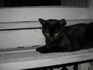 Tukki